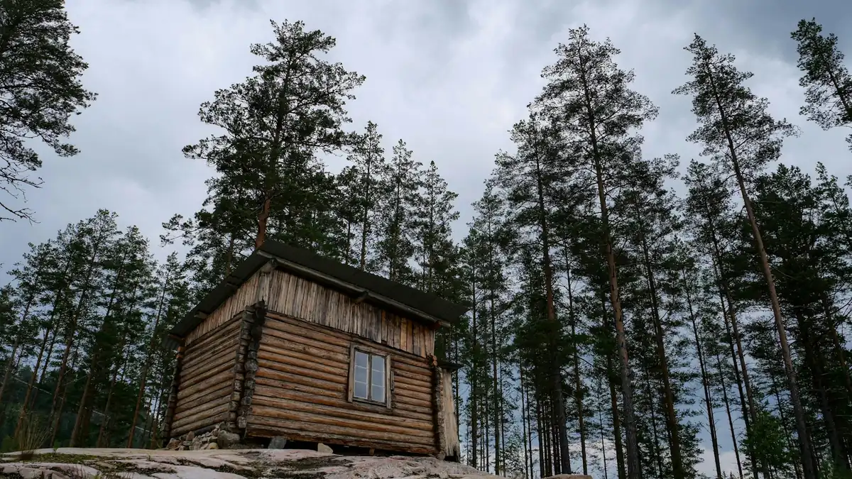 Arve våpen: overta, deaktivere, selge eller levere inn