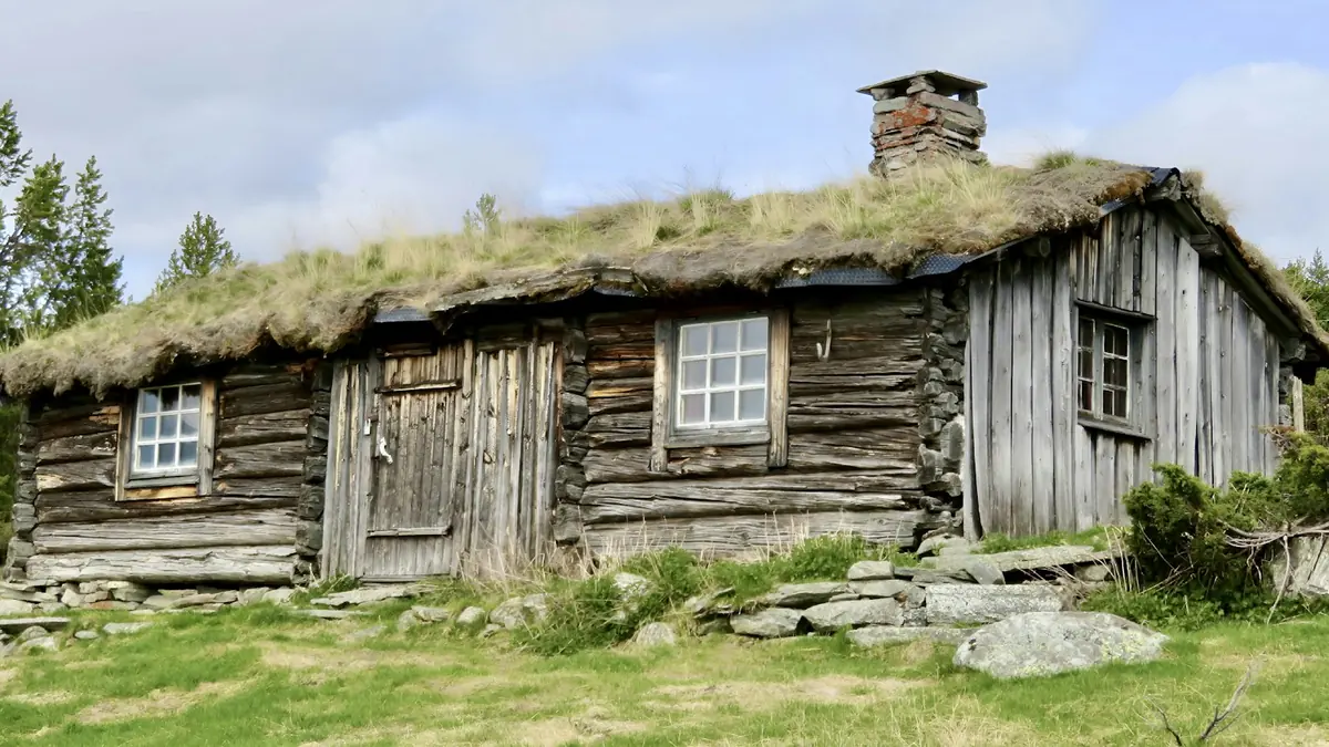 Bygdelensmannen på 1800-tallet: 393 distrikter i 1859
