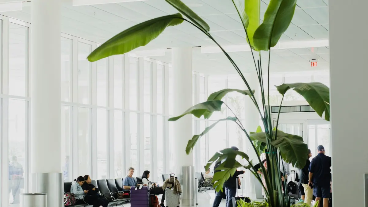 Hva koster pass i 2026? 840 kr for voksne