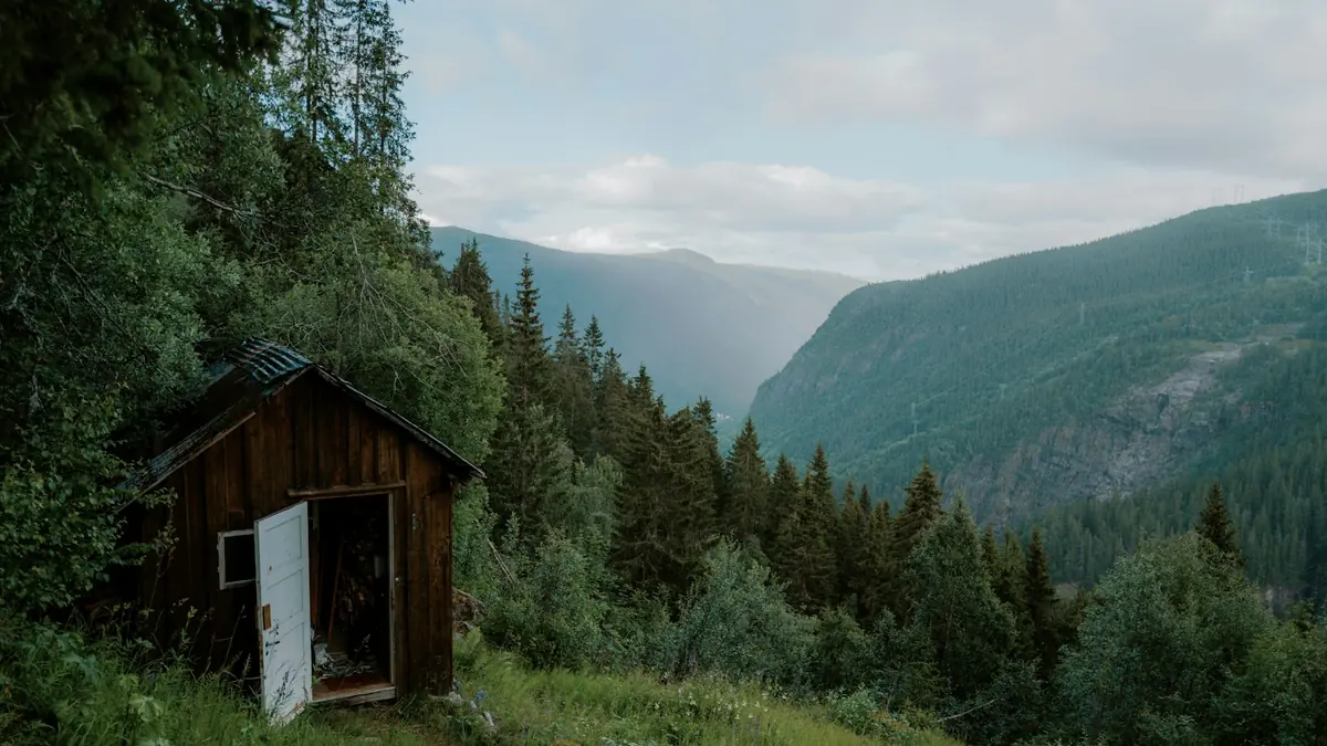 Kjente saker – og lensmannen i bøker og film